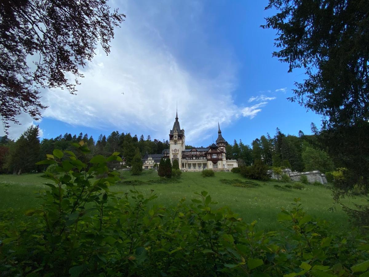 Vila De Argint Hotel Sinaia Exterior photo