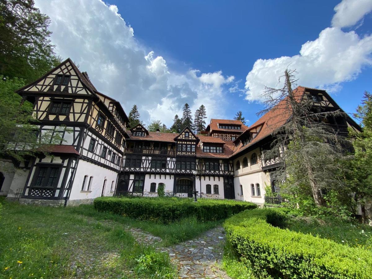 Vila De Argint Hotel Sinaia Exterior photo